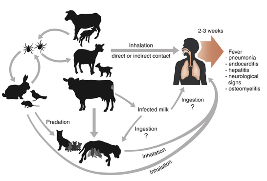 Captura de pantalla 2017-11-16 a las 0.54.08